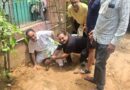 अमृत ग्रुप ने किया वृक्षारोपण