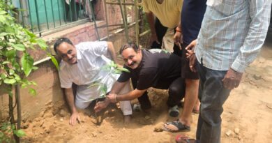 अमृत ग्रुप ने किया वृक्षारोपण