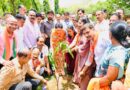 डॉ. श्यामा प्रसाद मुखर्जी जयंती पर डिप्टी सीएम दिया कुमारी ने किया वृक्षारोपण